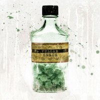 Vulgar Sense - Vulgar Sense (2010)  Lossless