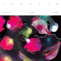 Tamaryn - Tender New Signs (2012)