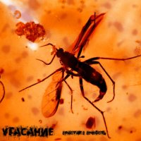 Угасание - Врастая в вечность (2012)