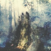 Sylvaine - Wistful (2016)
