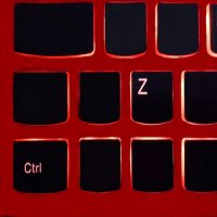 SIR Monkey Thing - Control Z (2015)
