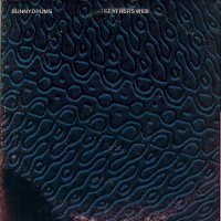 Bunnydrums - Feathers Web (1983)