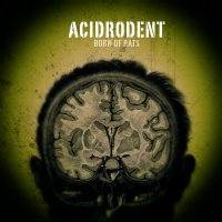 Acidrodent - Born of Rats (2016)