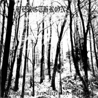 Bergthron - Verborgen In Den Tiefen Der Wälder... (1997)