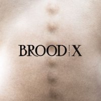 Boss Hog - Brood X (2017)