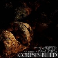 Corpses Bleed - Depths Of The Unknown (2013)