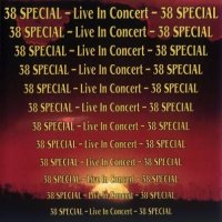 38 Special - Live In Concert (1991)