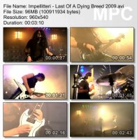 Клип Impellitteri - Last Of A Dying Breed (2009)