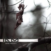 In A Mindset - Suburban Praehistoria (2017)