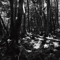 Tokyo Shoegazer - Turnaround (2013)