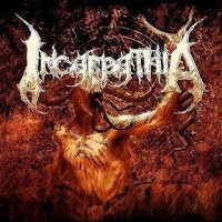 Incarpathia - Lost (2009)