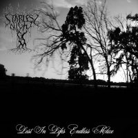 Starless Night - Lost In Life\'s Endless Maze (2014)