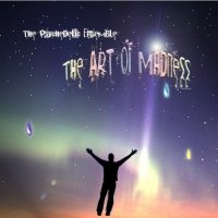 The Psychedelic Ensemble - The Art of Madness (2009)