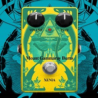 Mount Gammaray Burns - Xenia (2016)