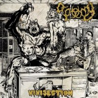Biotomy - Vivisection (2016)