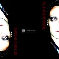Schandpfahl - Spiegel (2016)