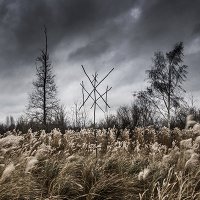 Wiegedood - De Doden Hebben Het Goed (2015)
