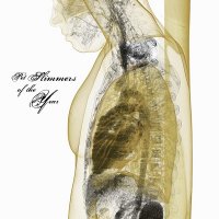 Pet Slimmers of the Year - ...and the Sky Fell (2010)