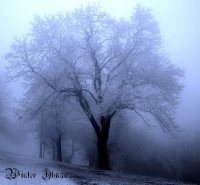 Adramalech - Winter Almanac (2010)