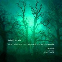 David Sylvian - there’s a light that enters houses with no other house in sight (2014)