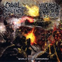 Cranial Impalement / Necroptic Engorgement - World Wide Terrorism (Split) (2013)