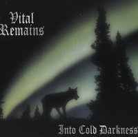 Vital Remains - Into Cold Darkness (1995)