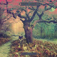 Royal Thunder - Crooked Doors (2015)