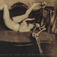 Pungent Stench - Praise The Names Of The Musical Assassins (Compilation) (1997)  Lossless