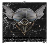 IRV - Овод (2015)