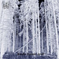 Winter Grief - Скорбь Зимних Лесов (2010)