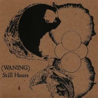 (waning) - Still Hours (2017)