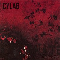 Cylab - Disseminate (2007)