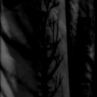 Left Alone... - With Black Branches... Scars And Wounds, The Painful Memories (2016)
