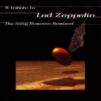 VA - The Song Remains Remixed  ( A Tribute To Led Zeppelin ) (1999)