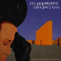 Disharmonic Orchestra - Not To Be Undimensional Conscious (1992)  Lossless