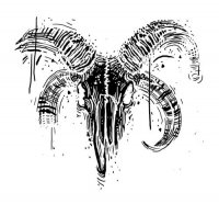 Skull Decay - Not Titled (2015)