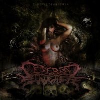 Cerebral Slaughter - Cadenas De Miseria (2015)