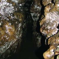 Shroud Of Despondency - Dark Meditations In Monastic Seclusion (2011)