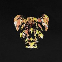 Young Lions - Burn (2013)