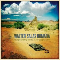 Walter Salas-Humara - Explodes And Disappears (2016)