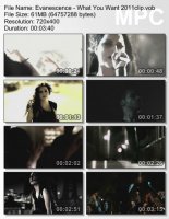 Клип Evanescence - What You Want (2011)