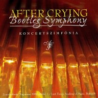 After Crying - Bootleg Symphony (2001)