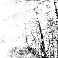 Agalloch - The White (2008)