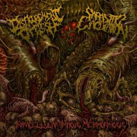 Disfigurement of Flesh & Parasitic Ejaculation - Intracellular Impious Metamorphosis (Split) (2016)