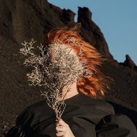 Goldfrapp - Silver Eye [Japanese Edition] (2017)