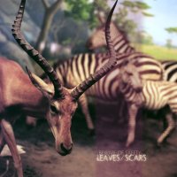 Beware Of Safety - Leaves / Scars (2011)