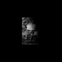 Nekrokaos - Chaos II (2007)