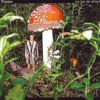 Eliasson - Hur Blev Det Så Här? (2007)