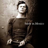 Snow In Mexico - Snow In Mexico (2009)