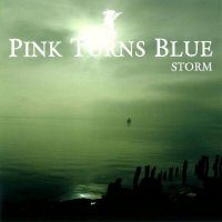 Pink Turns Blue - Storm (2010)  Lossless